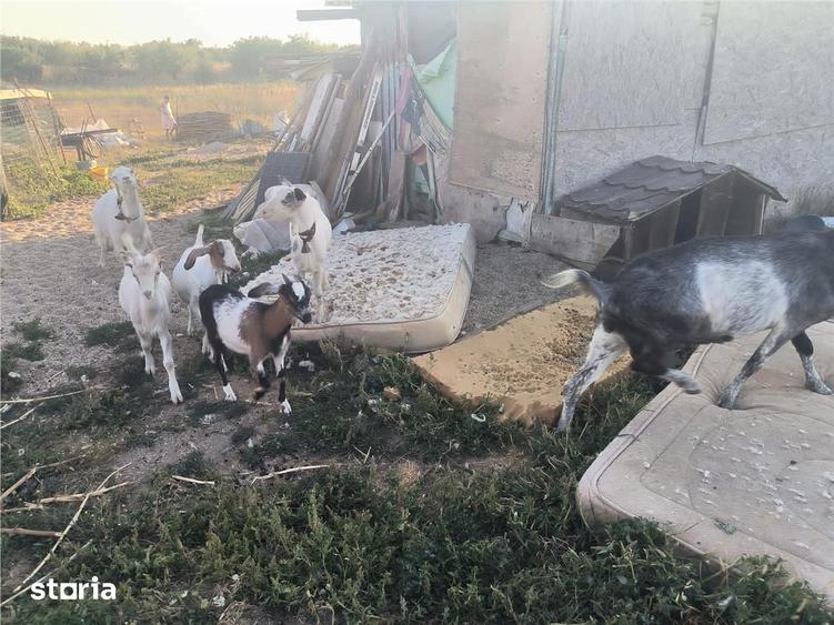 Casă cu 3 camere cu Teren 4300 Mp în Central