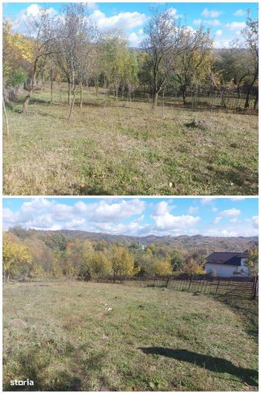 Teren de 3500 mp, în Berevoești