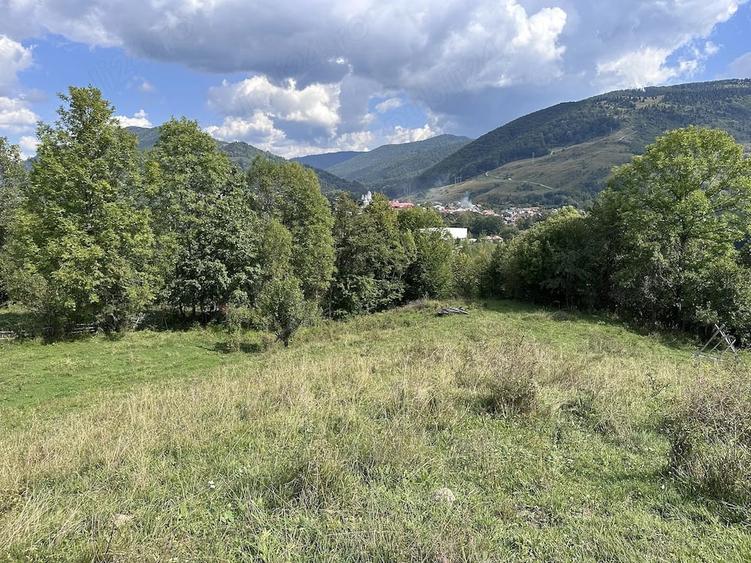 Teren de 5900 mp, în Trăisteni