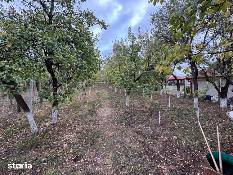 Teren de 1800 mp, în Viile Satu Mare
