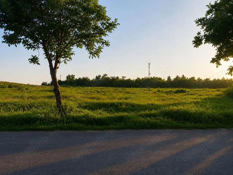 Teren de 9500 mp, în Tulucești
