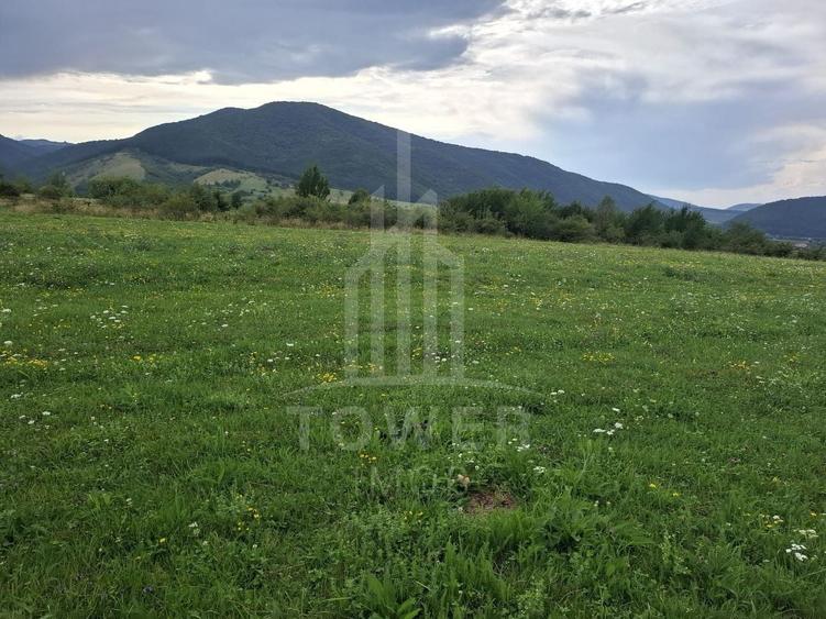 Teren agricol extravilan de 1500 mp, în Orlat