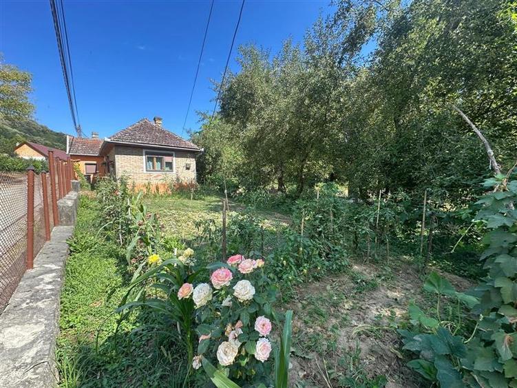 Bocsa Montana, Casa Cocheta de Vacanta sau investitie, Zona Pitoreasca - 21