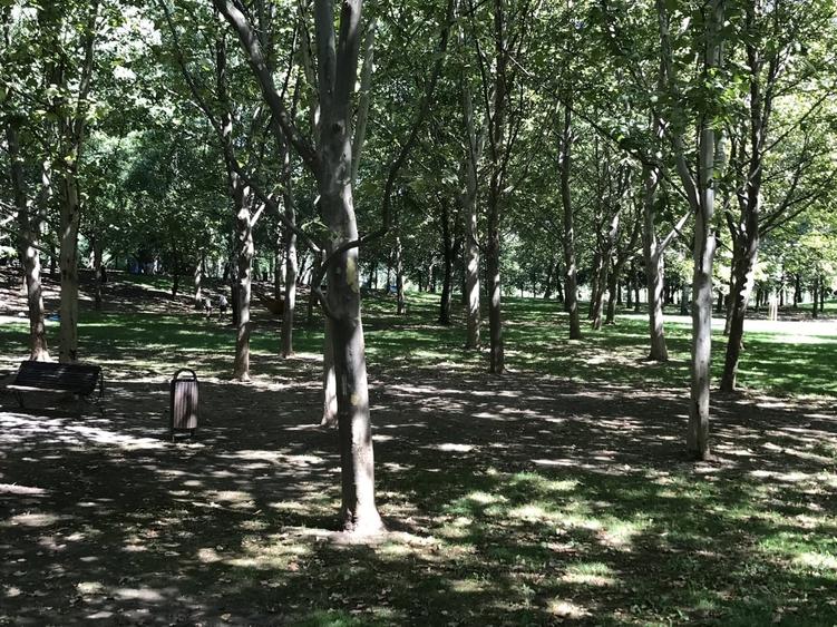 Garsonieră semidecomandată în Titan
