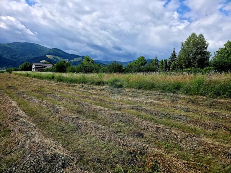 Teren de 600 mp, în Viișoara