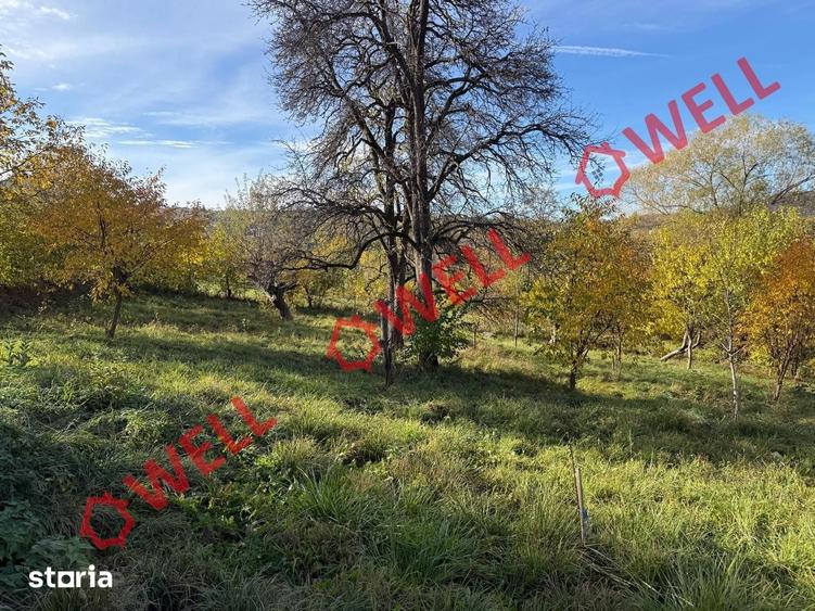Casă cu Teren 4831 Mp în Bran