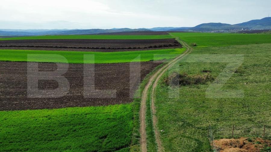 Teren agricol extravilan de 2700 mp, în 700