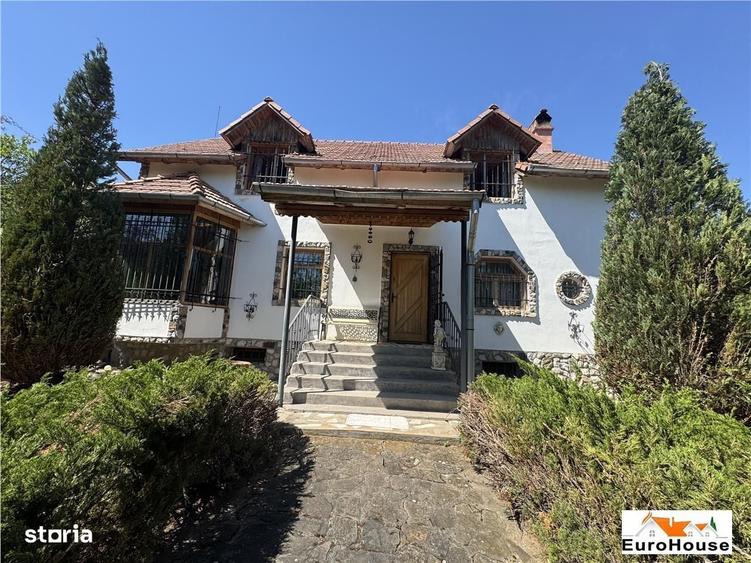 Proprietate deosebita de vanzare in Alba Iulia - 18