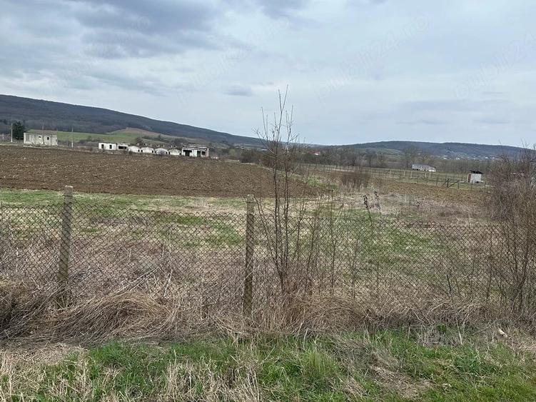 Teren de 660 mp, în Plavia