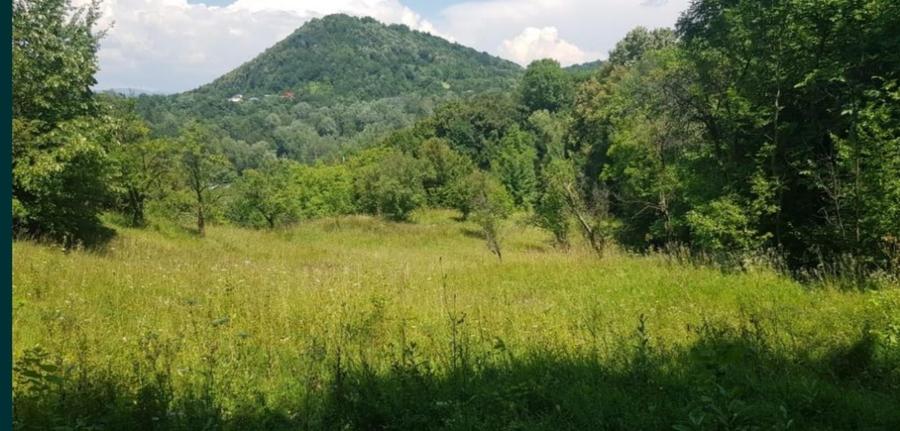 Teren Construcții intravilan de 17000 mp, în Doftana