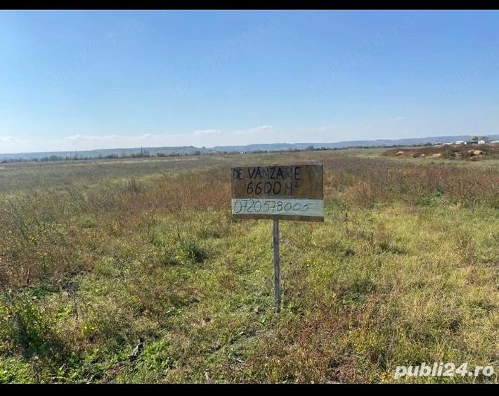 Teren de 6600 mp, în Ișalnița