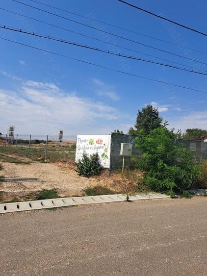 Teren de 4000 mp, în Plopeni