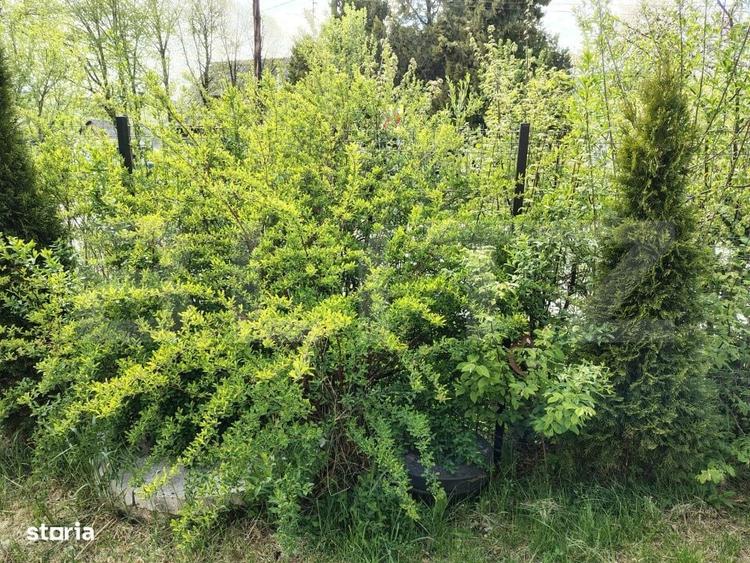 Casă cu 4 camere în Săcălaia