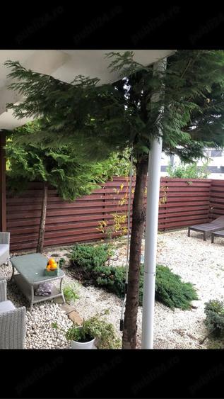 Casă cu 4 camere cu Teren 150 Mp în Chiajna