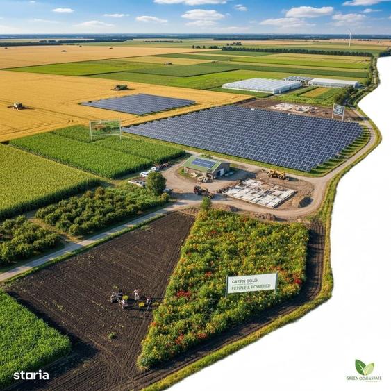 Oportunitate Strategica: 50 Hectare cu Acces Rapid catre Bucuresti - 1
