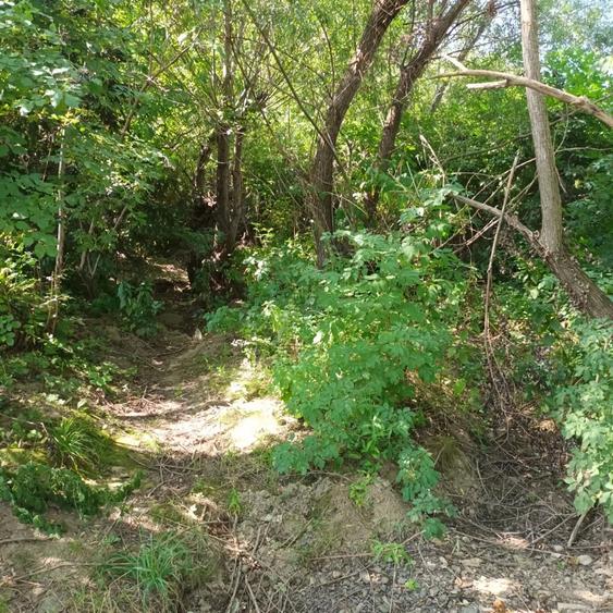 Teren de 3600 mp, în Gura Văii