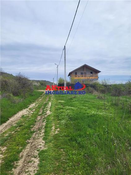 Teren agricol intravilan de 35000 mp, în Ștefănești
