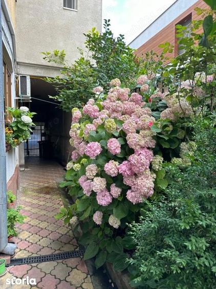 Apartament cu 2 camere semidecomandat în Iancului