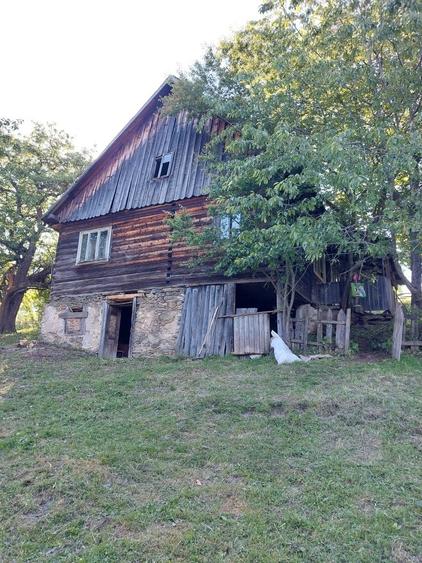 Teren de 5353 mp, în Horea
