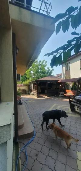 Casă cu 6 camere cu Teren 500 Mp în Berceni