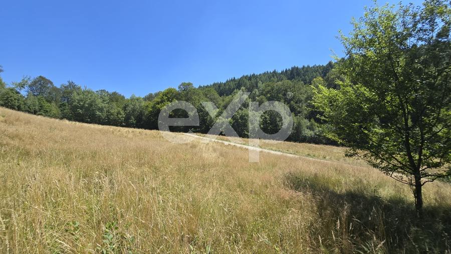 Teren agricol extravilan de 36200 mp, în Poiana Mărului