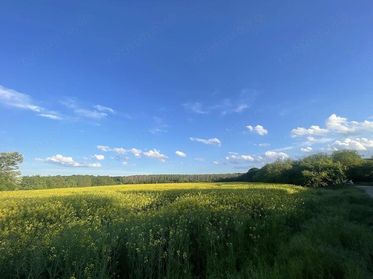 Teren de 7500 mp, în Ciolpani