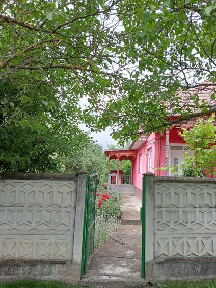 Casă cu 3 camere în Cecălaca