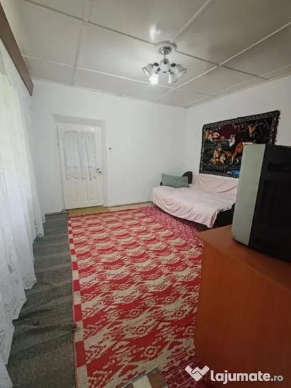 Casă cu 2 camere cu Teren 3972 Mp în Gura Idrici