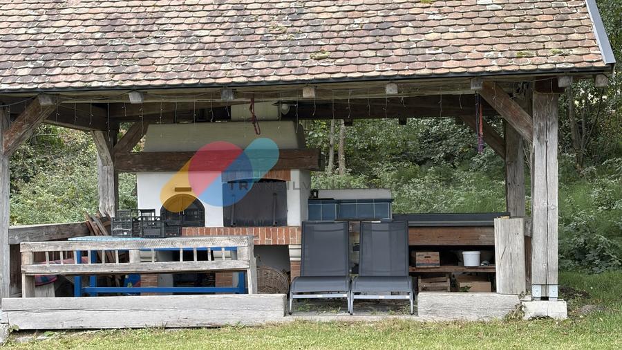 Casă individuală cu 3 camere cu Teren 3000 Mp în Sălicea