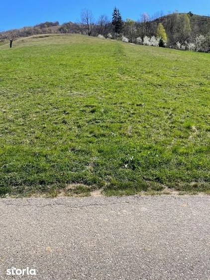 Teren de 879 mp, în Armeniș