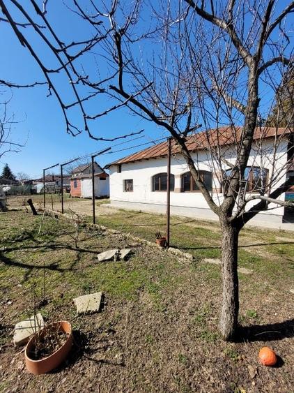 Casă individuală cu 5 camere cu Canalizare în Cartojani