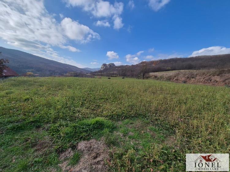 Teren Construcții intravilan de 1700 mp, în Ampoița