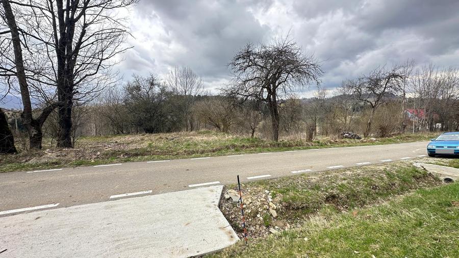 Teren Construcții intravilan de 2877 mp, în Brebu Nou