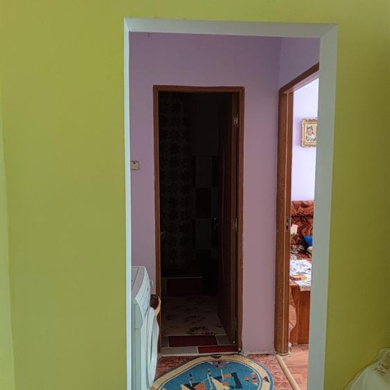 Apartament cu 2 camere semidecomandat în Viziru 3