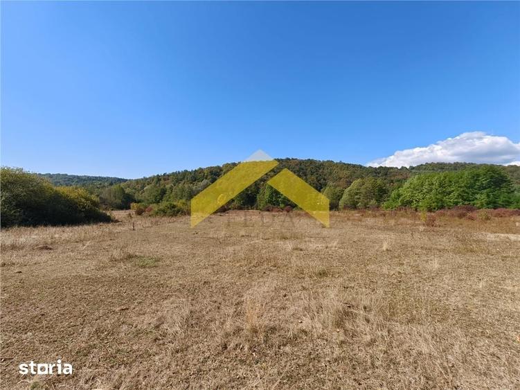 Teren de 20574 mp, în Petriș