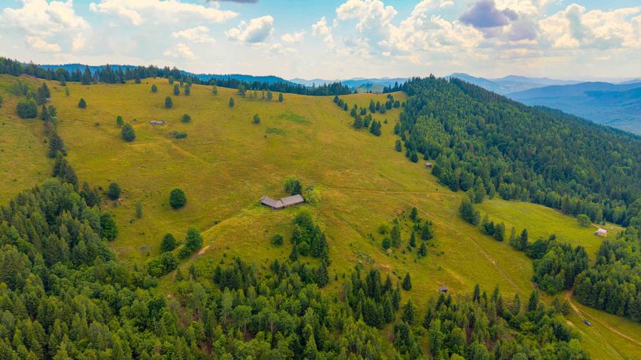 Teren de 170000 mp, în Vama