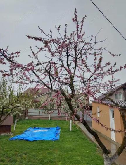 Casă cu 3 camere cu Teren 460 Mp în Ernei