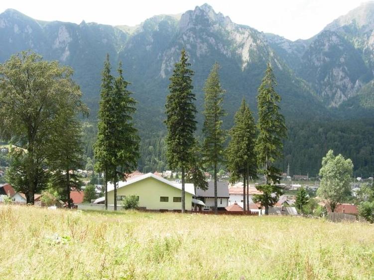 Teren intravilan de 3872 mp, în Zamora