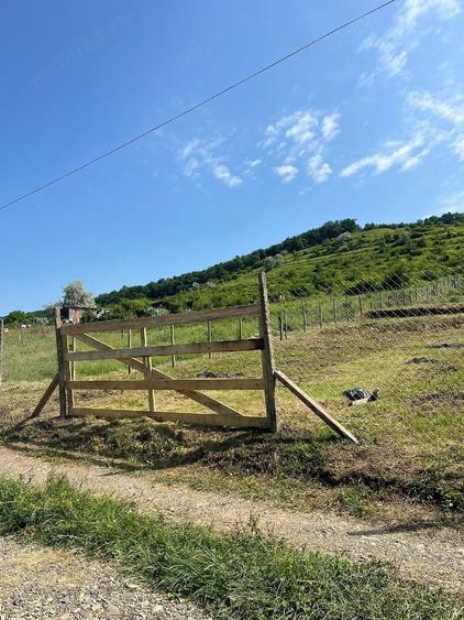 Teren de 1000 mp, în Schitu Duca