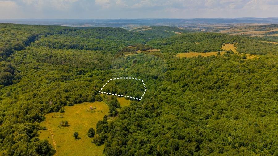 Teren Construcții intravilan de 6572 mp, în Grid