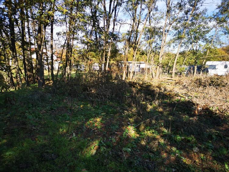 Casă individuală cu 2 camere cu Teren 2250 Mp în Gruiu