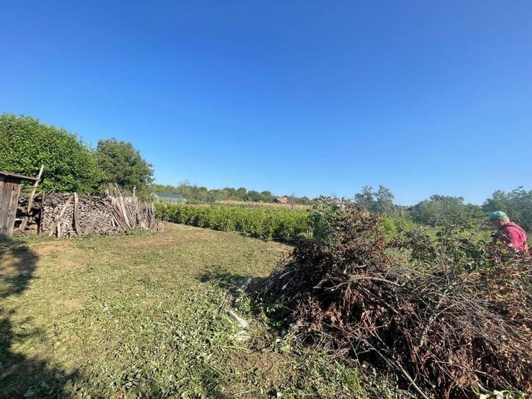 Casă cu 3 camere în Radovan