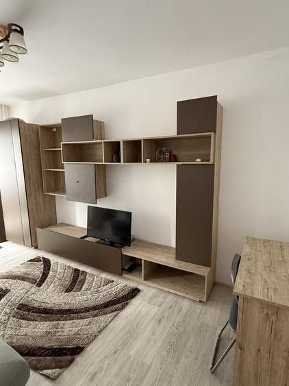 Apartament cu o camera de inchiriat in Arad - 1