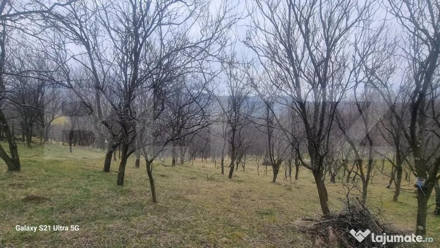 Teren în Schiulești