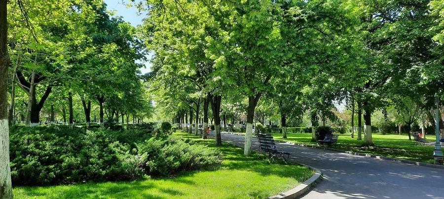 Proprietar! Inchiriez Apartament 2 cam, Vacaresti, Tineretului, Parc Lumea Copiilor, Metrou Piata Sudului si Mihai Bravu - 4