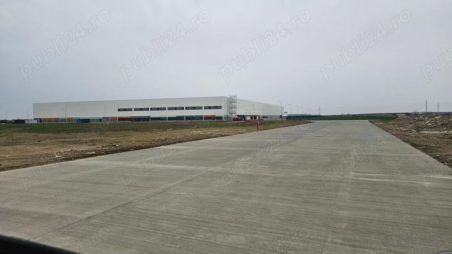 Teren Construcții intravilan de 10000 mp, în Șagului