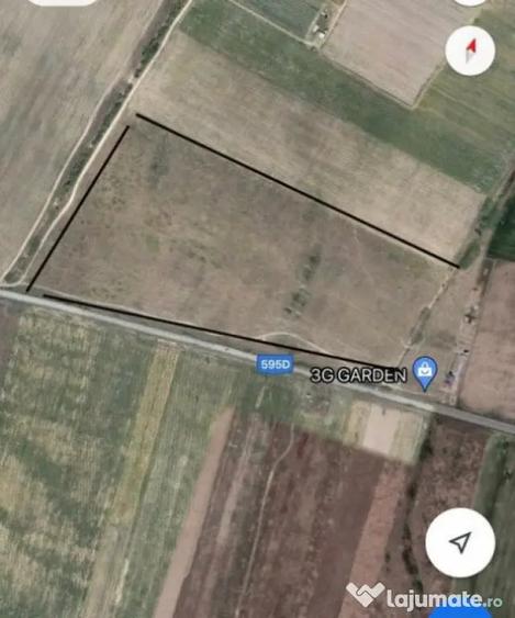 Teren de 70000 mp, în Moșnița Veche