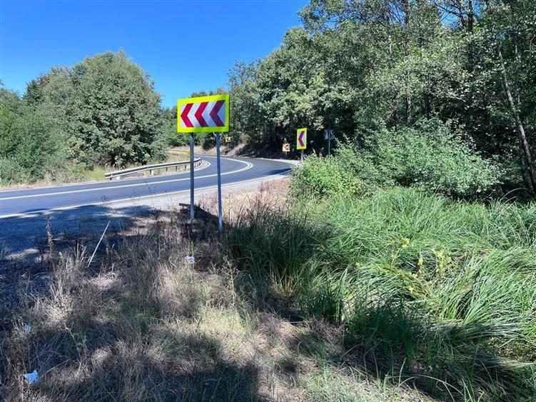 Teren extravilan de 3600 mp, în Bradu