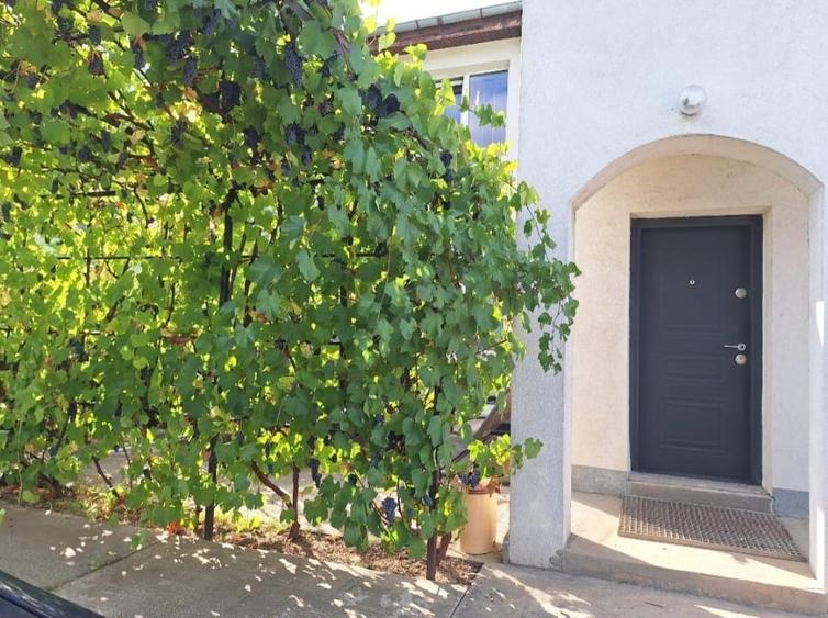 Casă individuală cu 5 camere cu Teren 4200 Mp în Adunații-Copăceni