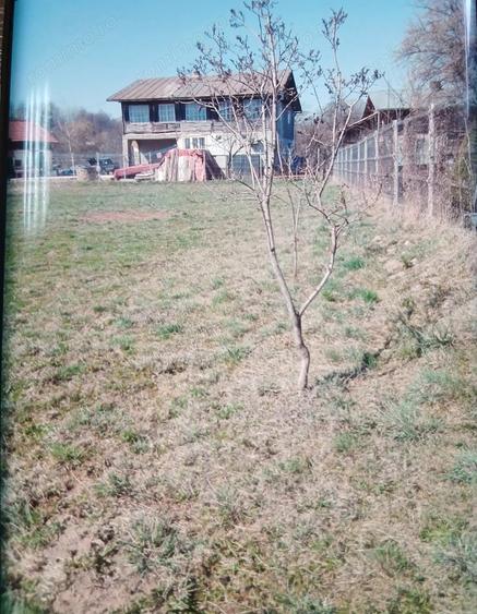 Teren de 3000 mp, în Adunați